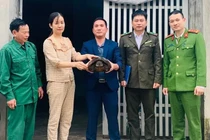 Người dân Hà Tĩnh giao nộp cá thể rùa đất lớn quý hiếm 
