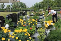 Tảo mộ online: Hình thức có quan trọng bằng lòng thành kính?