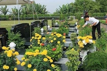 Tảo mộ online: Hình thức có quan trọng bằng lòng thành kính?