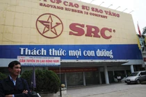 Cao su Sao Vàng bị phạt 1,37 tỷ đồng vì khai sai thuế 