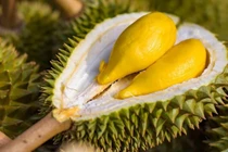 3 tuyệt chiêu giúp chọn sầu riêng cực chuẩn