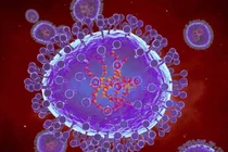Virus HMPV có lây qua quan hệ tình dục?