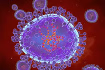 Virus HMPV có lây qua quan hệ tình dục?