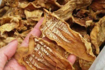 Bí quyết chọn mua măng khô không bị tẩm hóa chất