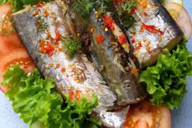 Loại cá xưa không ai "thèm ăn", nay lên đời có giá đến nửa triệu/kg