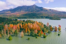 Mê mẩn rừng cây ngũ sắc thay lá tựa trời Âu phía tây Quảng Trị