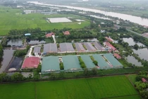 Công ty CP Thương mại dịch vụ Đông Á bị phạt hơn 400 triệu đồng