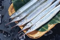 Loại cá mỏ nhọn như cây kim giàu chất dinh dưỡng, tốt cho tim mạch