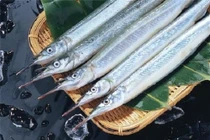 Loại cá mỏ nhọn như cây kim giàu chất dinh dưỡng, tốt cho tim mạch