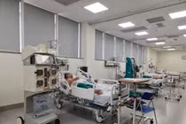 Suy đa tạng vì bị ong vò vẽ đốt 40 vết