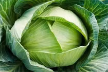 Bắp cải - "siêu thực phẩm" giúp giảm mỡ máu và hạ huyết áp