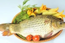 Loại cá cực giàu omega 3 giúp cải thiện sức khỏe tim mạch