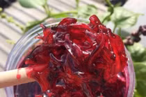 Cách làm "nước cốt dưỡng nhan" từ hoa atiso đỏ