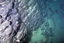 Bí ẩn hòn đảo chìm ngoài khơi Brazil chứa đầy đất hiếm