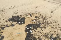 Truy tìm nguyên nhân dầu vón cục dạt vào biển Nha Trang