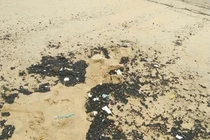 Truy tìm nguyên nhân dầu vón cục dạt vào biển Nha Trang