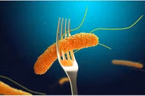 80 sinh viên ở Lào Cai ngộ độc, vi khuẩn Salmonella là "thủ phạm"