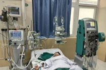 Cứu sống bệnh nhi bị sốc nhiễm khuẩn nặng