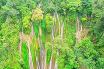 Về Lai Châu ngắm thác Nậm Lúc - "dải lụa" mềm giữa đại ngàn