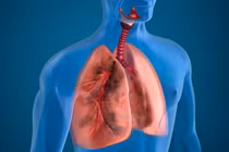 7 thói quen có thể gây tổn thương phổi nên bỏ ngay lập tức