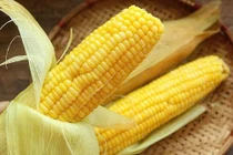 Người bệnh tiểu đường có nên ăn ngô?