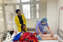 Sưng phù, rối loạn đông máu do tự đắp lá trị rắn cắn