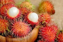 Ai không nên ăn chôm chôm?