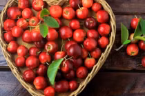 Loại quả siêu giàu vitamin C giúp hạ đường huyết, chống lão hóa