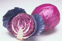 Loại rau giàu vitamin A gấp 10 lần bắp cải xanh, thúc đẩy sản xuất collagen