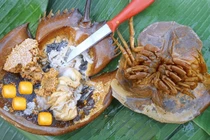 Cảnh báo nguy cơ ngộ độc khi ăn các món chế biến từ con so biển