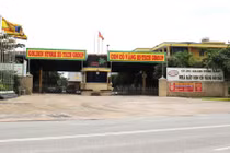 Công ty TNHH Con Cò Vàng vi phạm gì... bị phạt 320 triệu đồng?