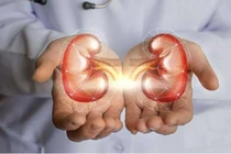 Thay đổi thói quen sinh hoạt mỗi ngày để thận luôn khỏe mạnh