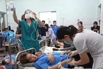 Lý do Công ty Thiên Hồng Phúc bị xử phạt và đình chỉ hoạt động