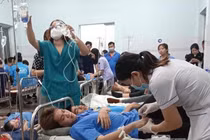 Lý do Công ty Thiên Hồng Phúc bị xử phạt và đình chỉ hoạt động