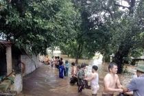 Người dân vùng bão lũ không dùng gia cầm chết chế biến thực phẩm