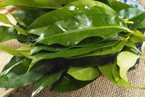 Loại lá xưa rụng đầy vườn, nay "lên đời" thành đặc sản nhiều người "săn đón"