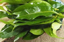 Loại lá xưa rụng đầy vườn, nay "lên đời" thành đặc sản nhiều người "săn đón"