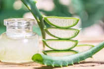 Lý do nên thêm nha đam vào chế độ chăm sóc da hàng ngày