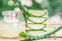 Lý do nên thêm nha đam vào chế độ chăm sóc da hàng ngày