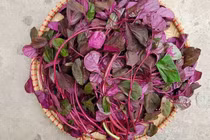 Loại rau dân dã được ví như "rau trường thọ" cải thiện chứng thiếu máu