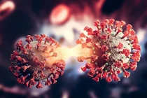 Dấu hiệu nhiễm biến thể phụ JN.1 COVID-19