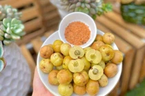 Loại quả xưa rụng đầy không ai ăn, giờ "lên đời" thành của ngon vật lạ