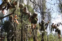 5 hòn đảo được mệnh danh "ma ám" kinh dị nhất thế giới