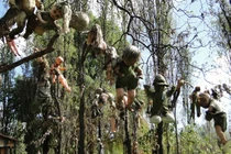 5 hòn đảo được mệnh danh "ma ám" kinh dị nhất thế giới