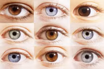 Điều gì quyết định đến màu mắt của một con người?