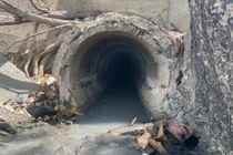 Xả thải vượt quy chuẩn, chủ quán ốc Tự Nhiên 2 tại Vũng Tàu bị phạt 