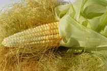 Tưởng chừng thứ bỏ đi nhưng râu ngô lại mang nhiều công dụng bất ngờ