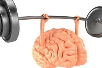 Thay đổi thói quen sinh hoạt mỗi ngày để cải thiện sức khỏe bộ não