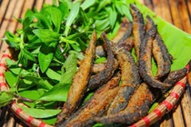 Loại cá được mệnh danh 'sâm nước' giúp bổ khí huyết, tăng ham muốn