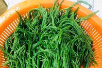 Loại rau đứng xa vài mét vẫn ngửi thấy mùi hôi nhưng ăn là “nghiện”